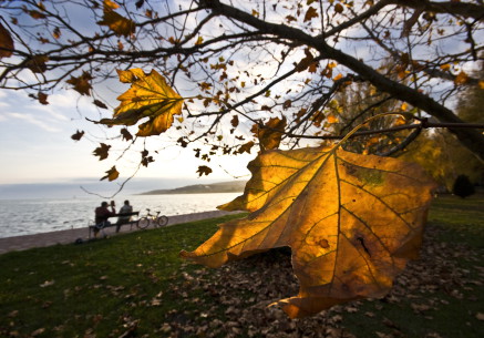 Balaton im Herbst2